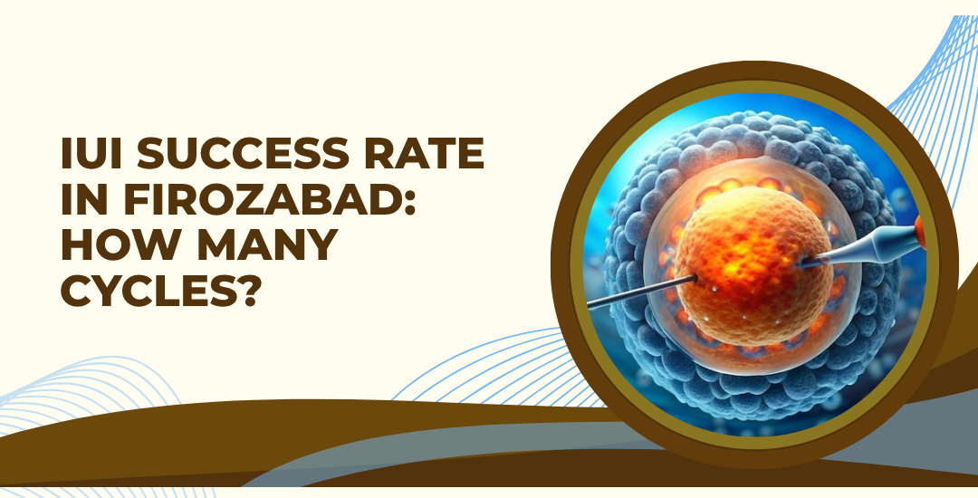 IUI Success Rate in Firozabad: How Many Cycles Before Switching to IVF?