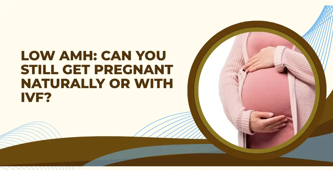 Low AMH: Can You Still Get Pregnant Naturally or With IVF?